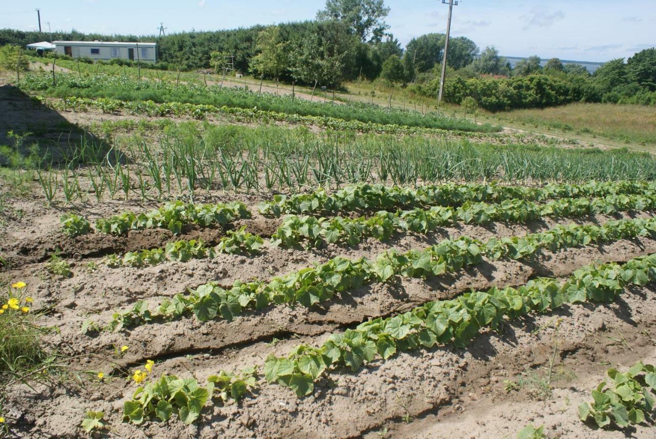 Agrodomki Okej -Dom Kasjan Gardna Wielka Exterior photo